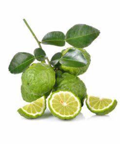 Bergamot Flavour