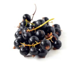Black Currant Flavour