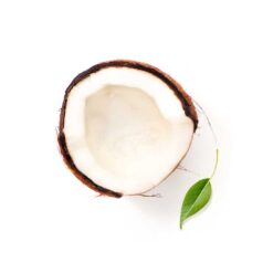Hedessent Coconut Flavour