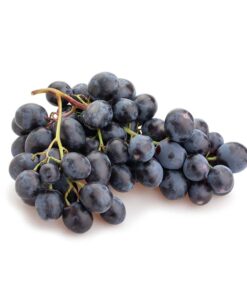 Concord Grape Flavour