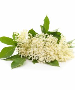 Elderflower Flavour