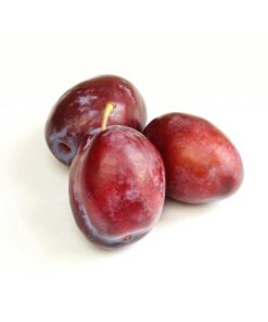 Jocote Plum Flavour