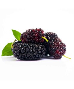 Mulberry Flavour