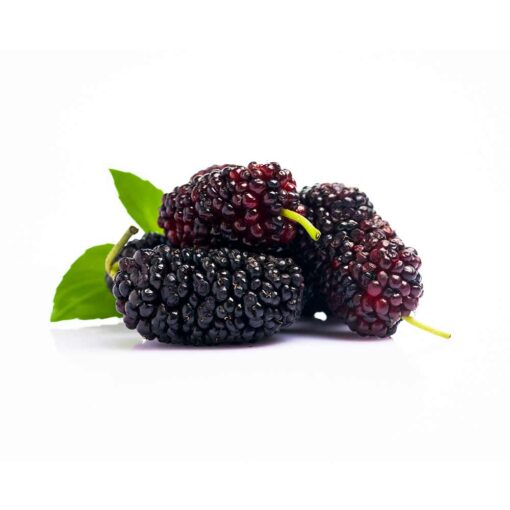 Mulberry Flavour