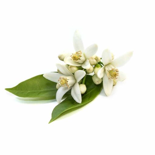 Neroli Flavour