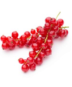 Red Currant Flavour