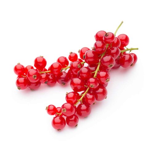 Red Currant Flavour