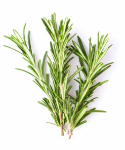 Rosemary Flavour