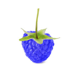 Blue Rasbperry Flavour